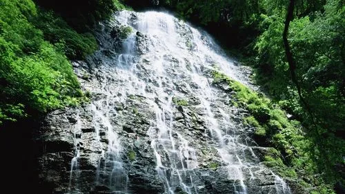 高标准创新